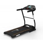 Recenzii pe scurt: FitTronic D30